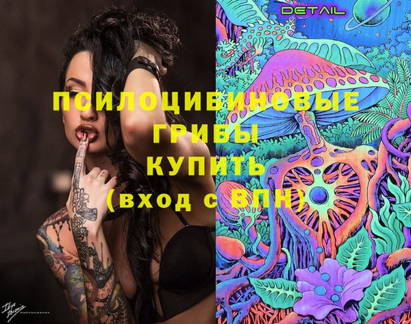 прущий лед Гусев